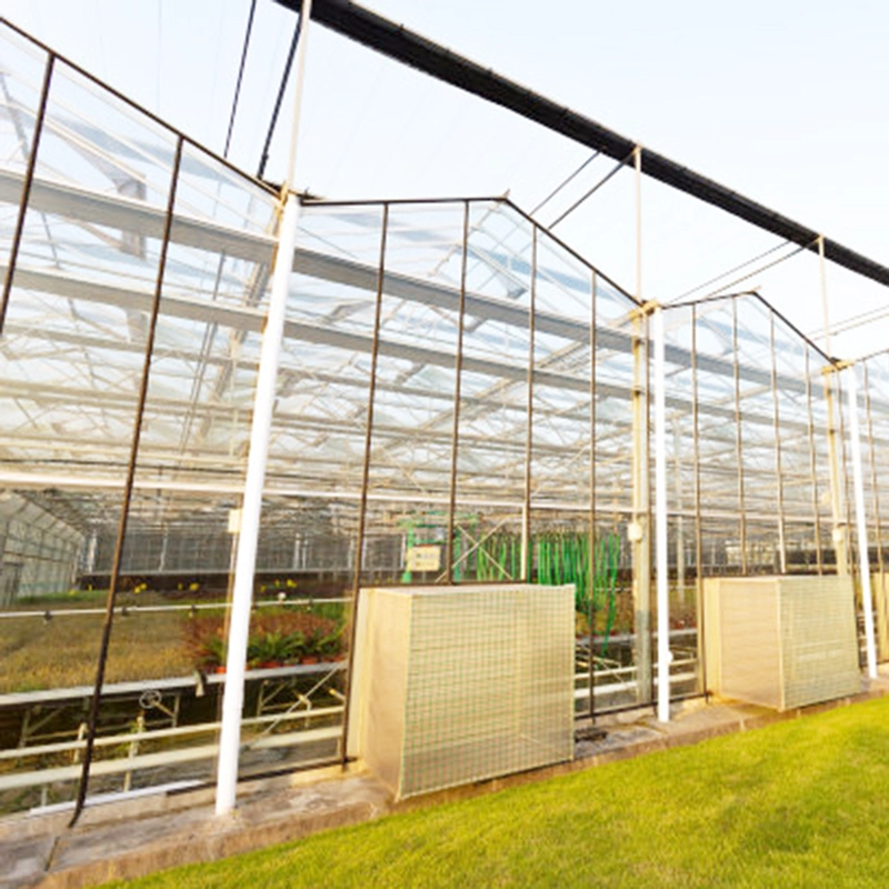 Casa caliente Horticultura Multi Span Agrícola invernadero inteligente con hidropónicos Sistema