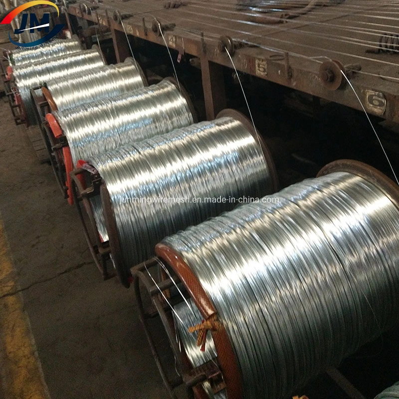 Hot Dipped/Electric Galvanized Mild Steel Binding Wire/Black Annealed Rebar Iron Tie Wire 16 Gauge Stainless Steel Spool for Construction/Building Material