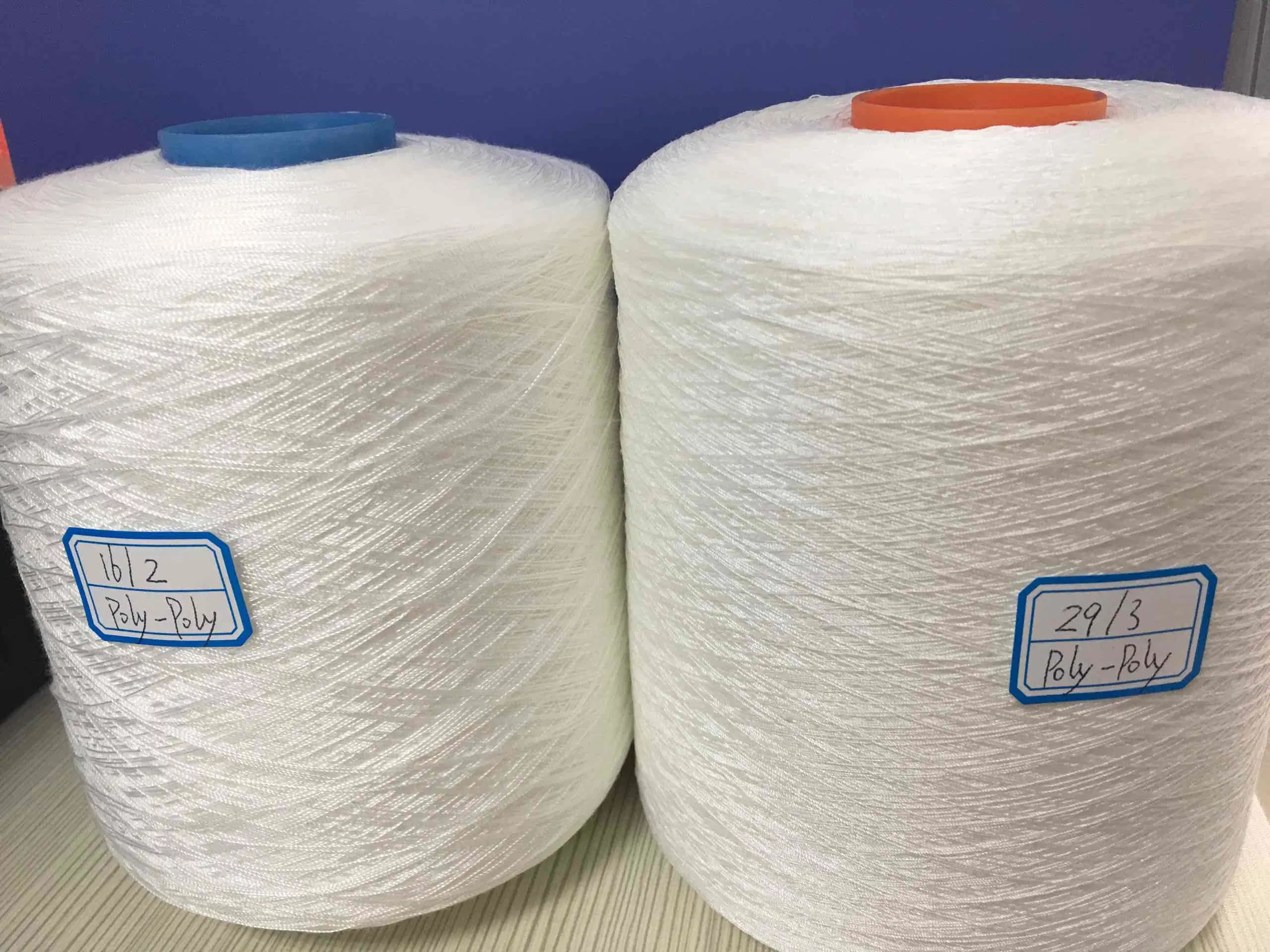 Poly Poly Core Spun Yarn Manufacturer 1kg 1.25kg Dye Tube 12/2 12/3 16/2 16/3 20/2 20/3 28/2 28/3 38/2 40/2 45/2 50/2 55/2