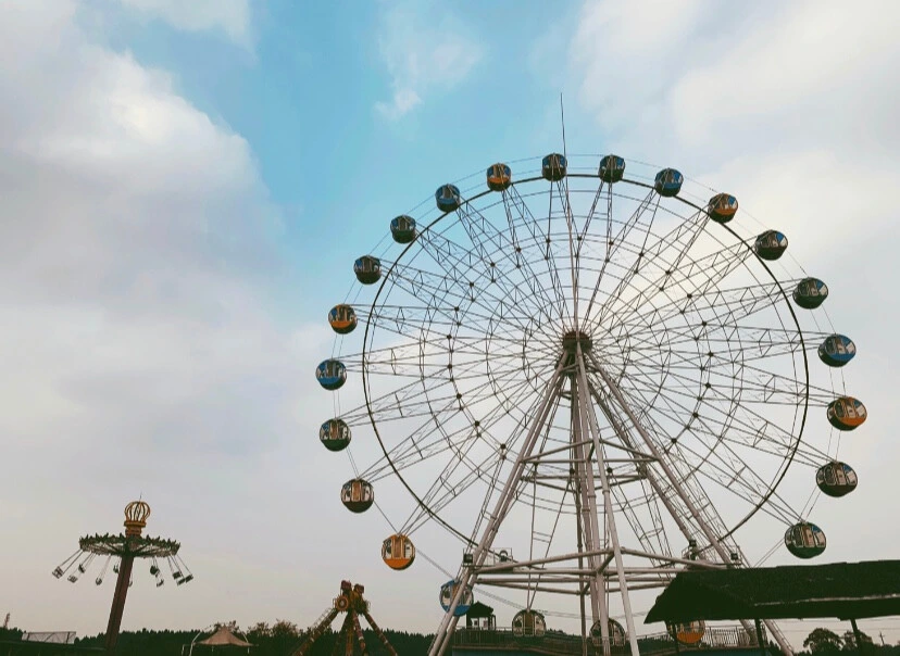 42 Meters Giant Ferris Wheel for Outdoor Playground