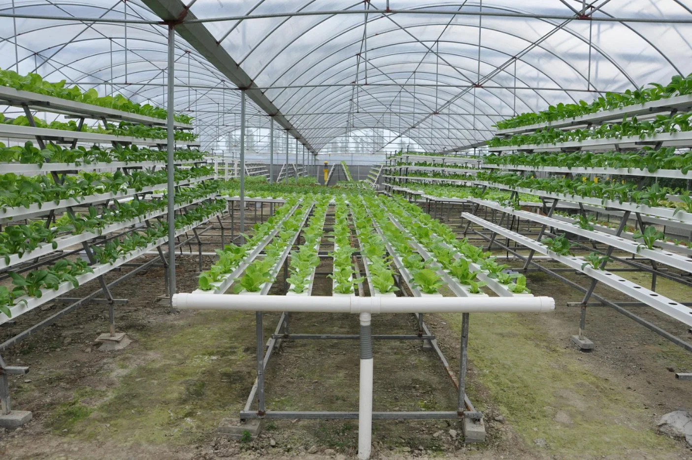 100 * 50mm Landwirtschaft NFT System hydroponic Food-Grade wachsende quadratische Rohrgestell Wasserrinne Des Systems