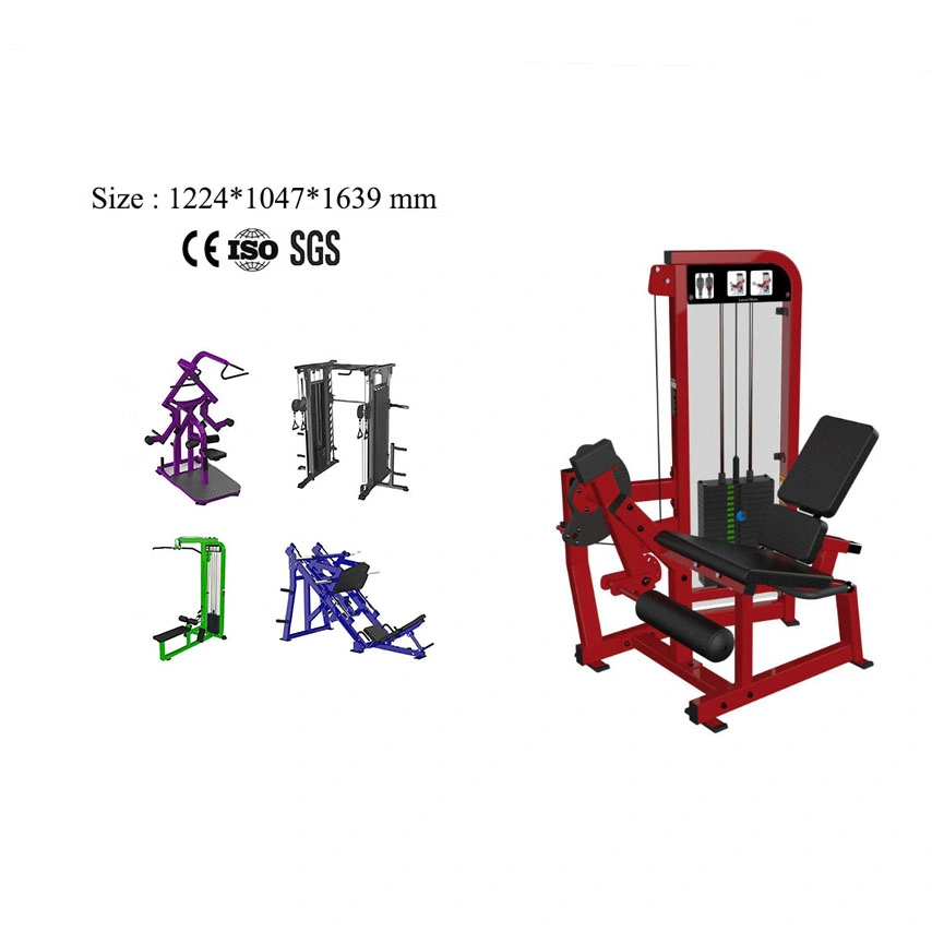 Hot Selling High Quality Gym Equipment Commercial Strength Fitness Machine Leg Extension