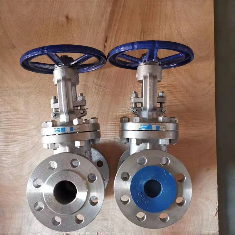Cast Stainless Steel Gate Valve A351 CF8m SS316 300lb with Bolted Bonnet Design