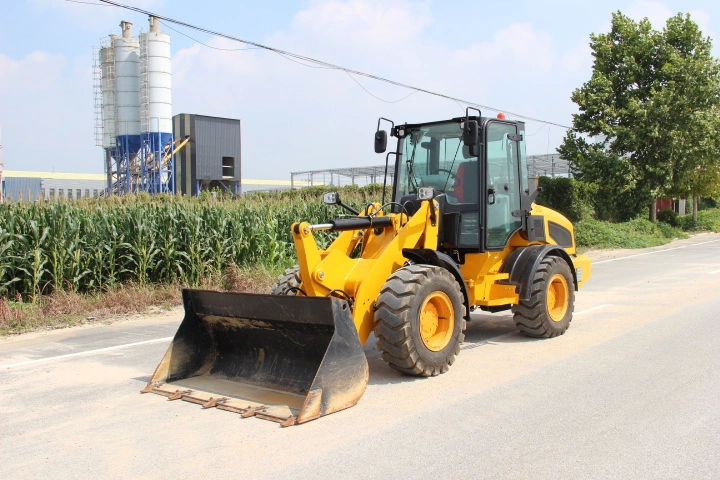 Lgcm Factory Used Suger Cane Loader with Multifunctional Accessories