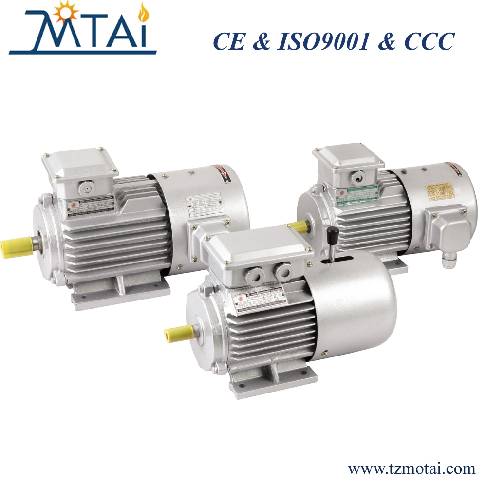 Frequency Variable Speed Adjustable Regulation Three Phase Motor For Industrial Pump Fan Air Compressor Food Machinery