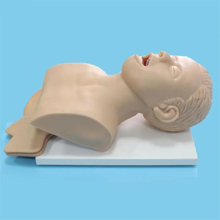 Medical Science Human Airway Manikin Electronic Endotracheal Intubation Training Manikin