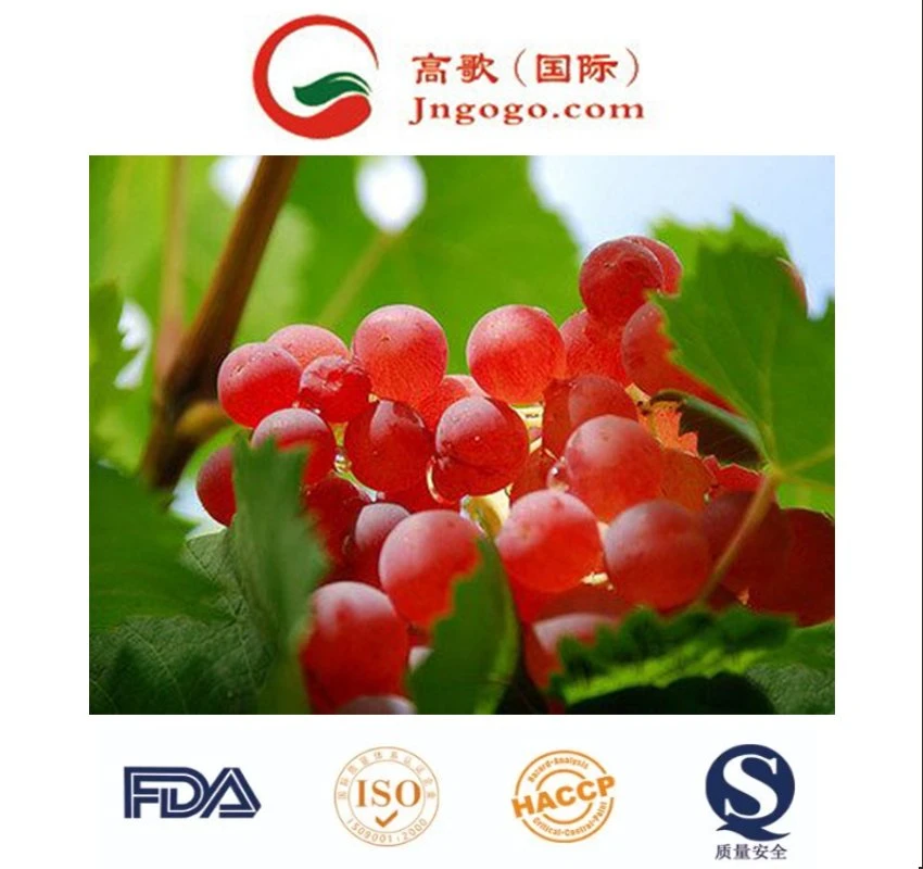 Export Superior Seedless Fruits Grapes Fresh Red Globe Seedless Grapes