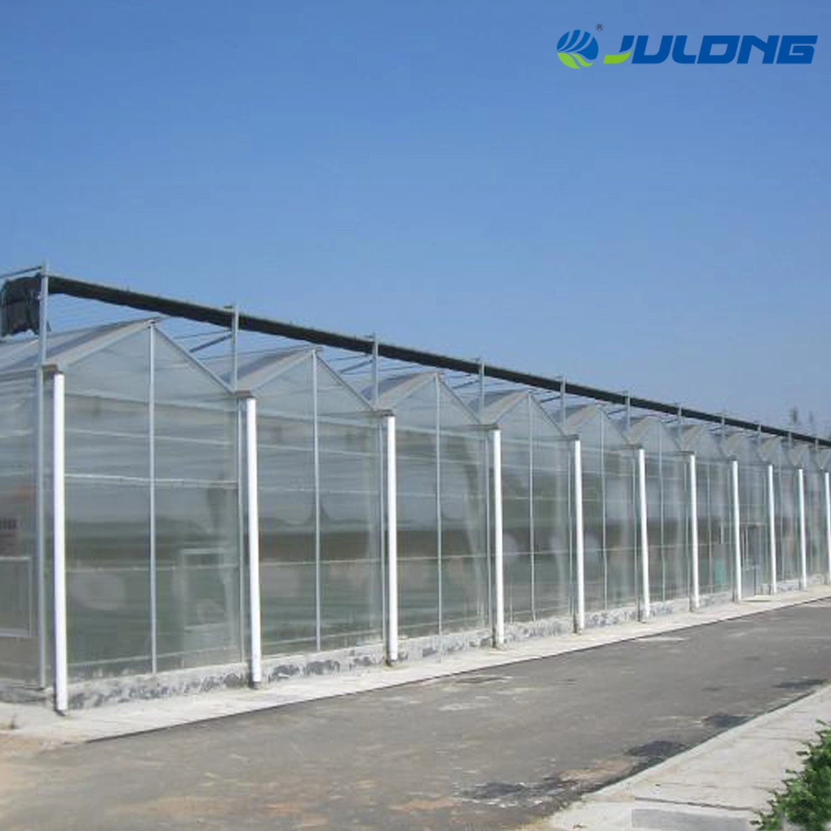 Venlo Poly Polycarbonate Sheet Greenhouse for Potato Flowers House