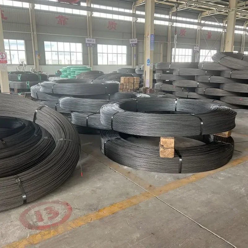 SAE1008 SAE1006 Carbon Steel Wire 1022A Wire Rod Phosphated Annealed Steel Wire for Dry Wall Screw Making