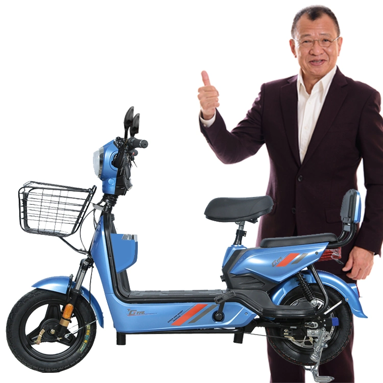 Bicicleta eléctrica para adultos en venta en fábrica de China