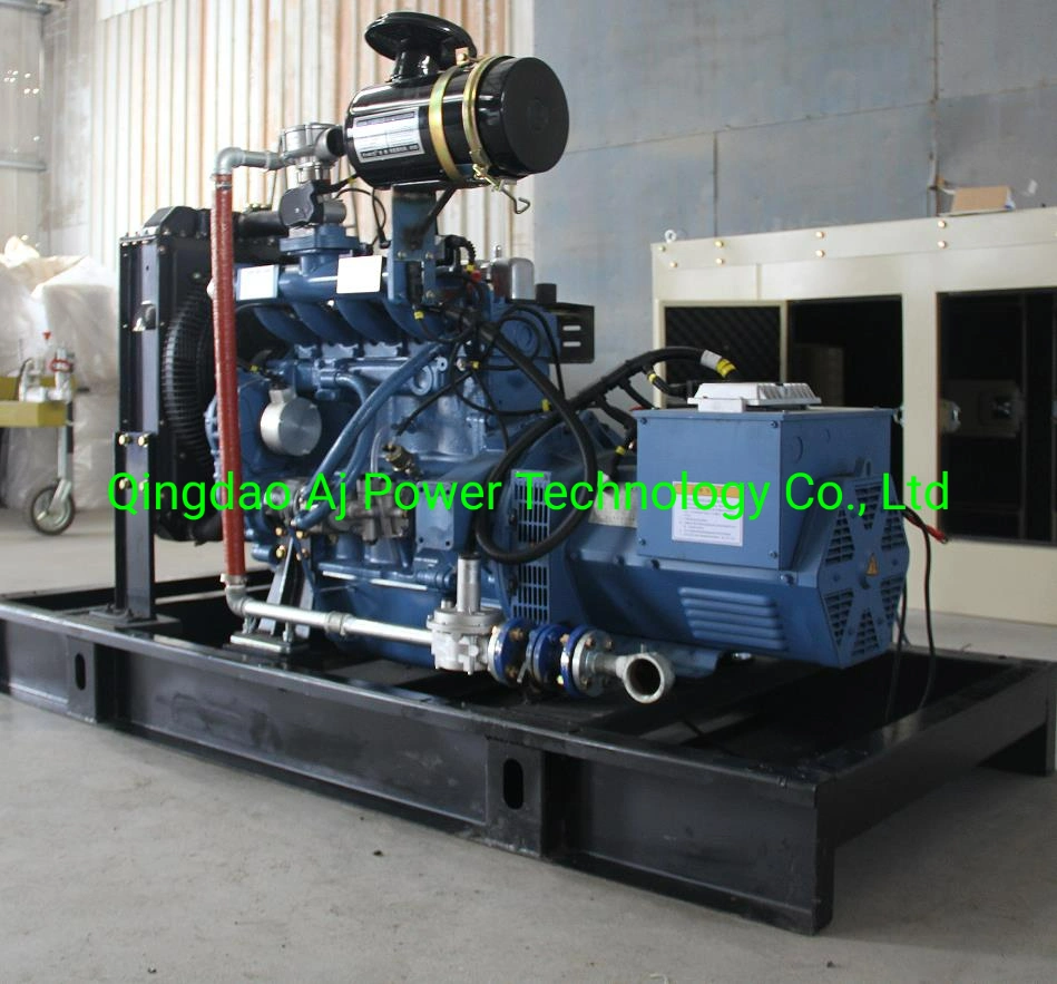 Ricardo 12kw 15kVA Biogas Generator Set Cheap Price Made in China