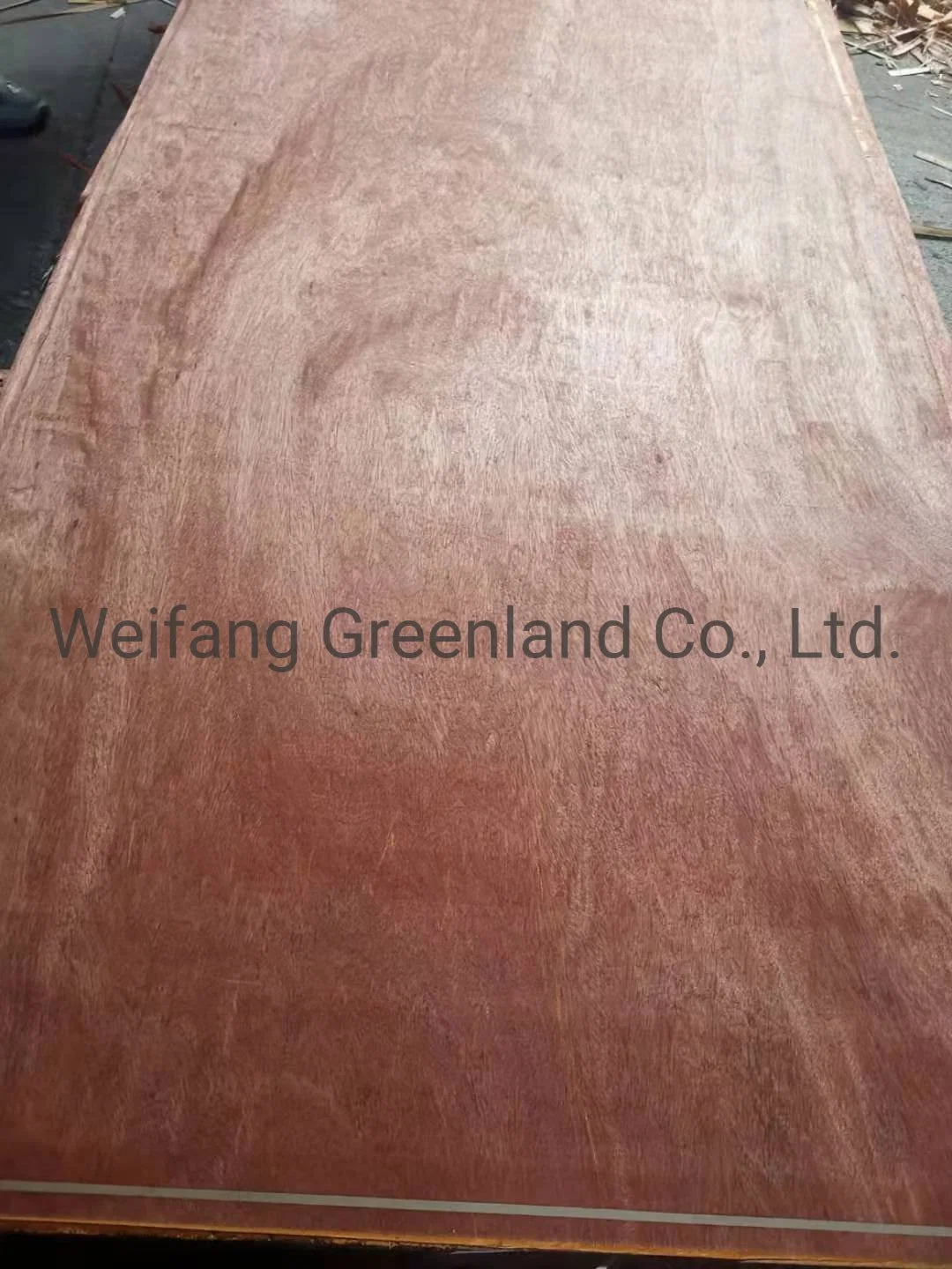 Poplar Wood, Hardwood, Packing Grade Plywood with Various Sizes and Thickness