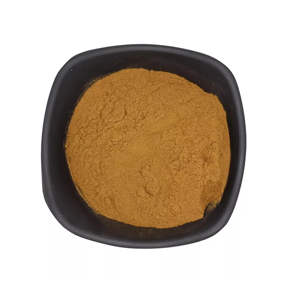 OEM Turkesterone Powder Muscle Building Ajuga Turkestanica Extract Powder 2% 10% Turkesterone Capsule CAS 41451-87-0