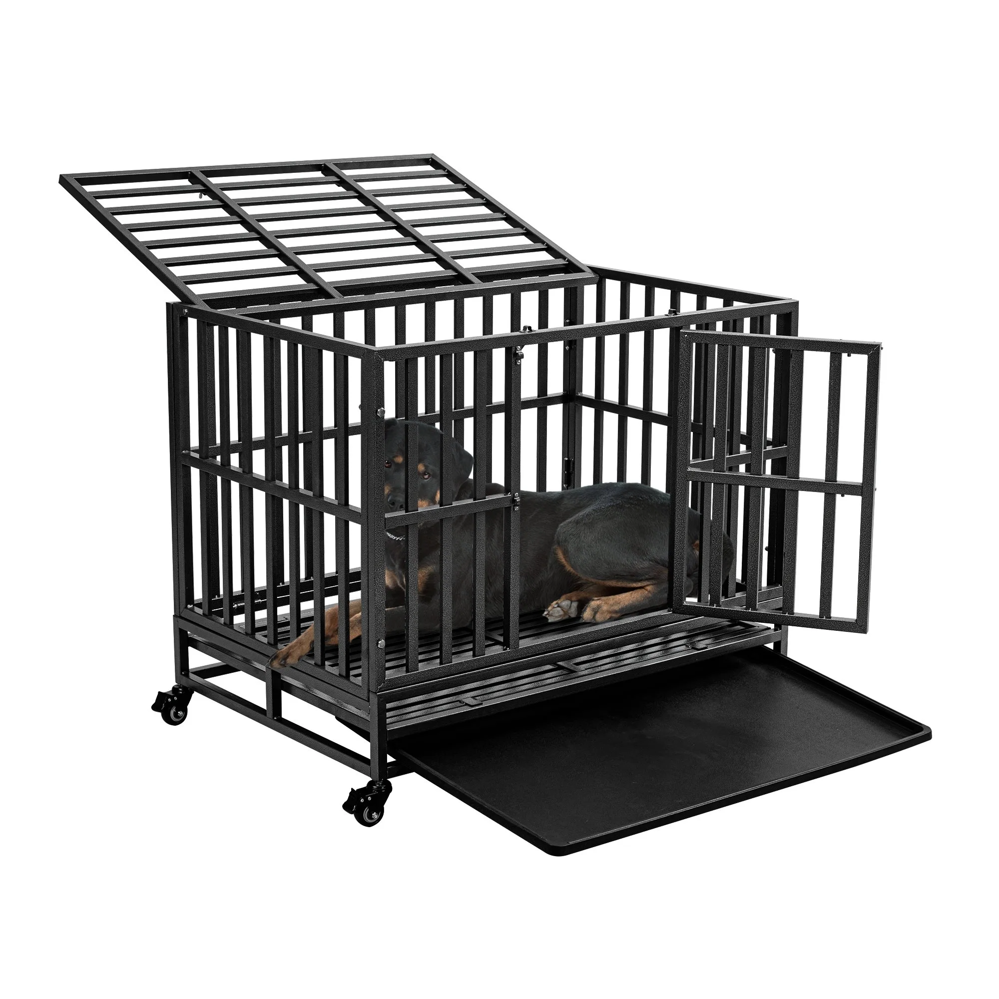 Cage pour chiens en fer lourd cage pour animaux de compagnie