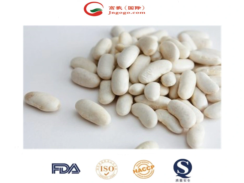 High quality/High cost performance Japanese White Kidney Bean