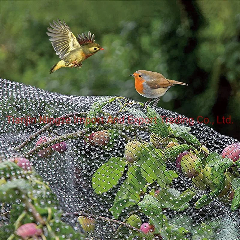 Anti Bird Protection Net 100% Virgin HDPE White Anti Bird Net Garden Net Fruit Trees Factory High Quality