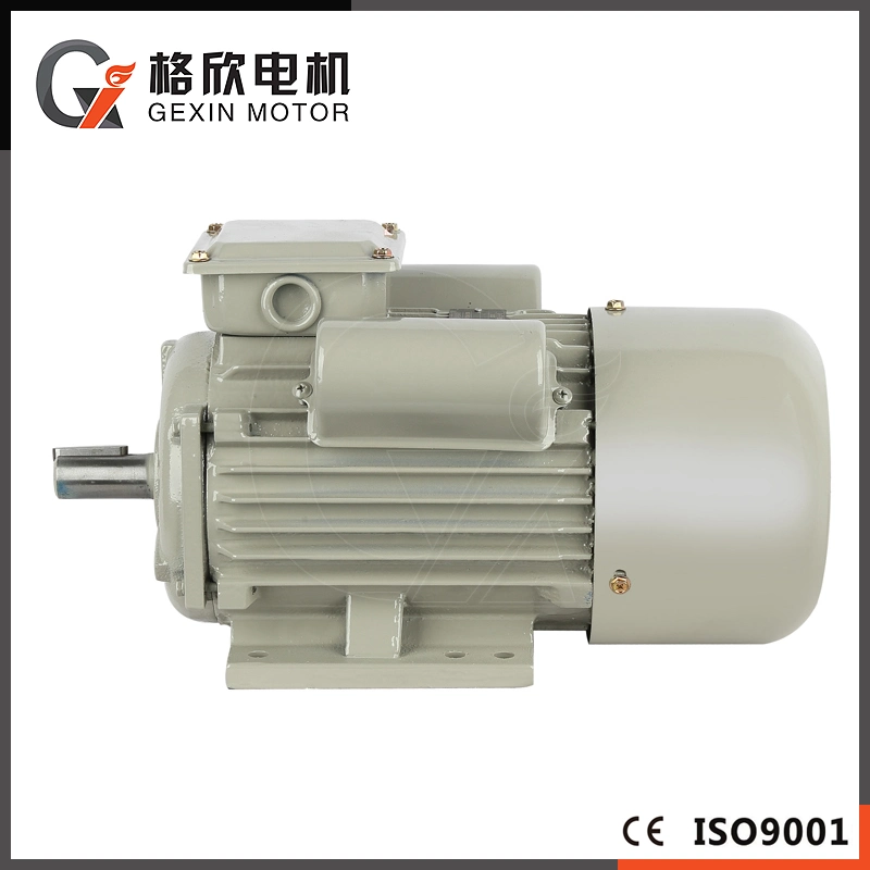 220V 1.1kw 2/4poles Single-Phase Electric Motor with CCC CE ISO9001 for Water Pump Household Appliances