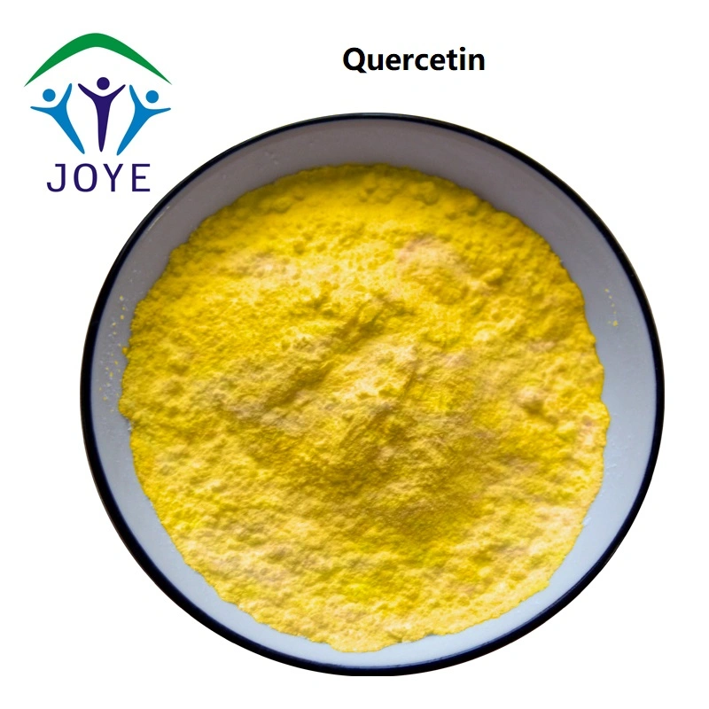 Sophora japonica en polvo Extracto de un 95% 98% de la quercetina Antitusígeno y expectorante CAS 117-39-5