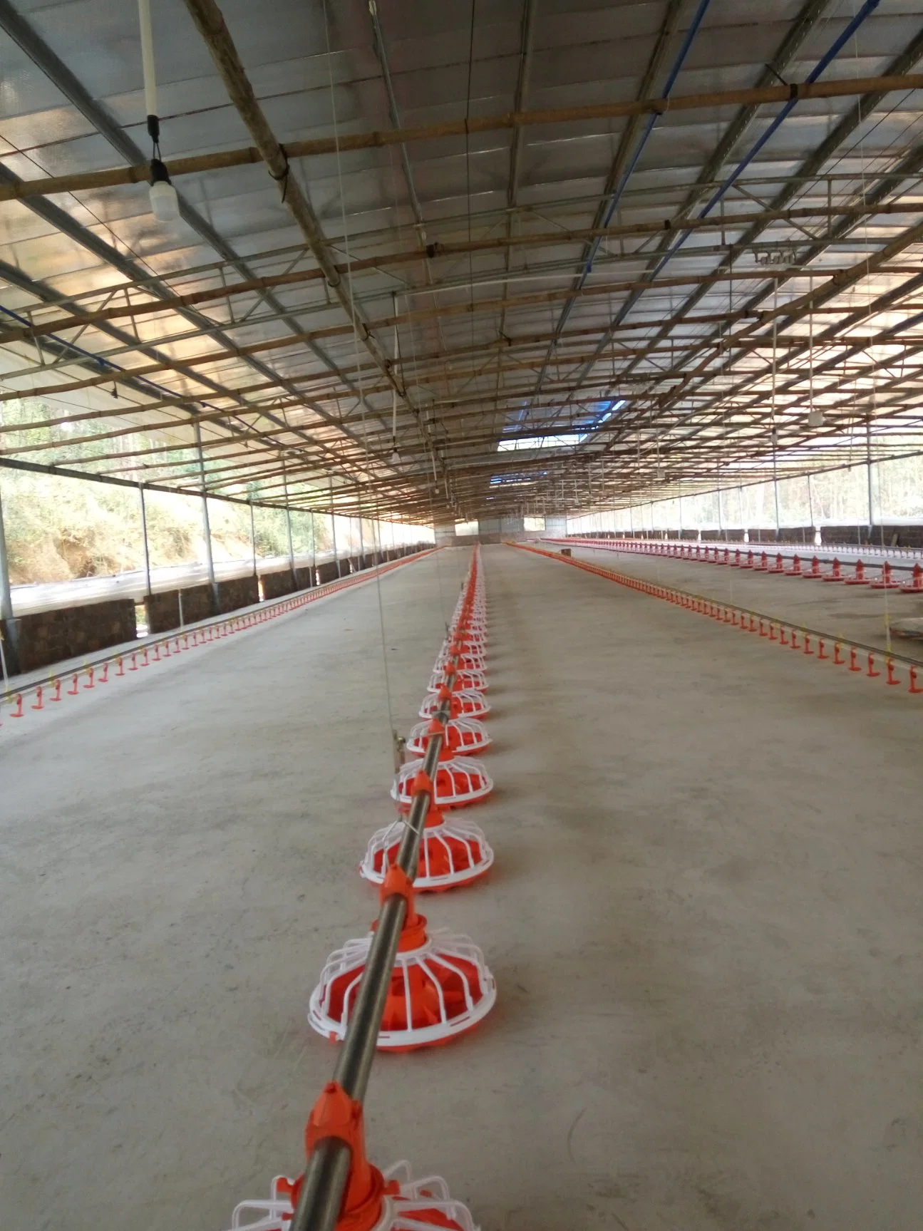 Las aves de corral pollo broiler potable Alimentación automática y sistema de giro