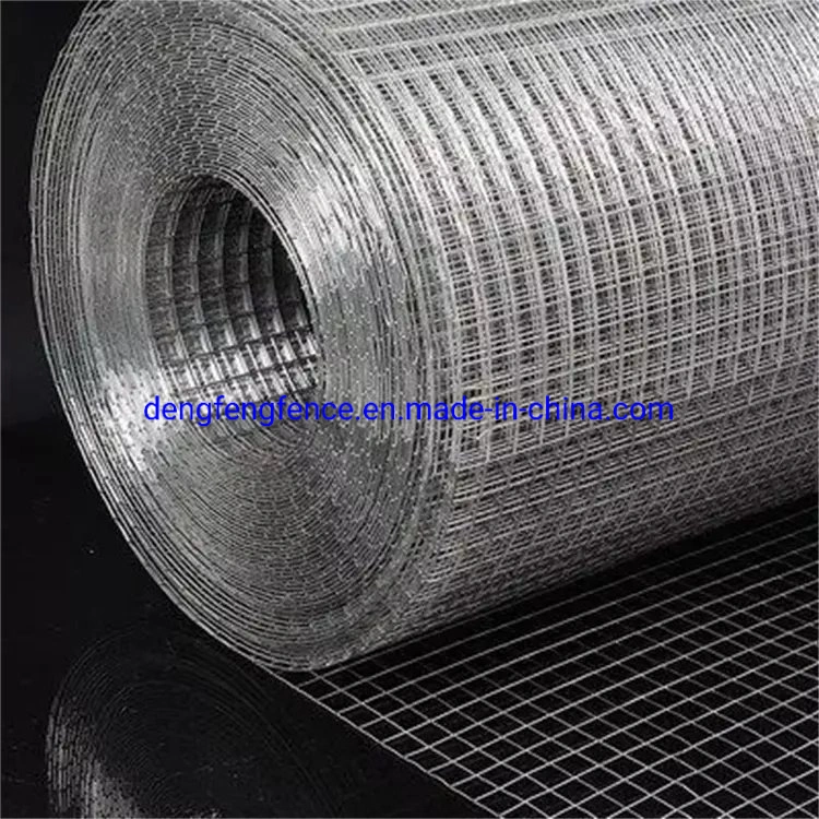 Stainless Steel Construction Material Manufacturer Anti-Corrosion Welded Wire Mesh Rolls