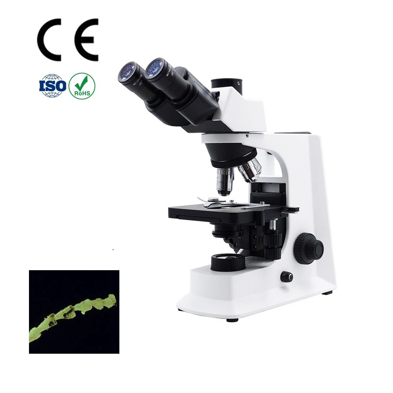 Microscopio Biológico trinocular con Plan 100X/1,25 (S, aceite) . W. D. =0,12mm Focus ajustable