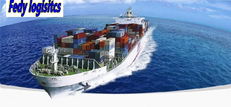 Professional Sea Freight Railway Forwarder Agent Shipping From China to Europe/Rotterdam