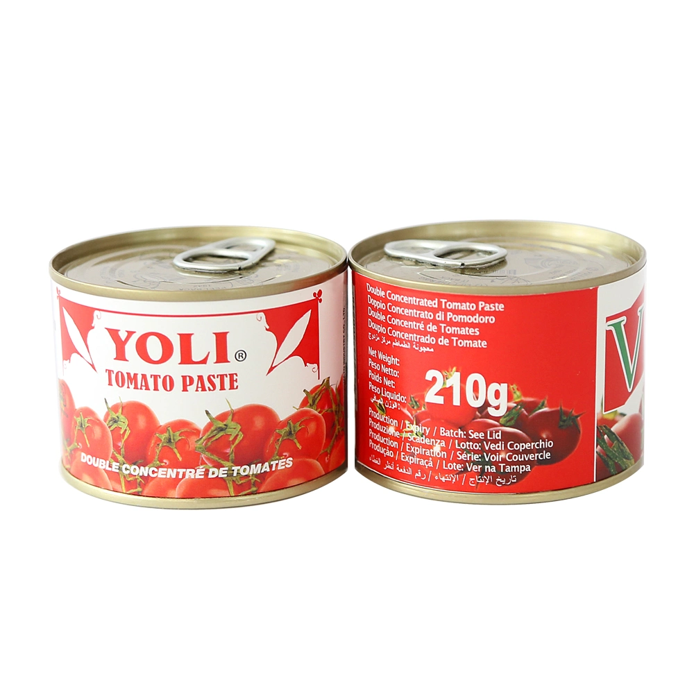 Popular Size 210g Eo Canned Tomato Paste for Africa Market