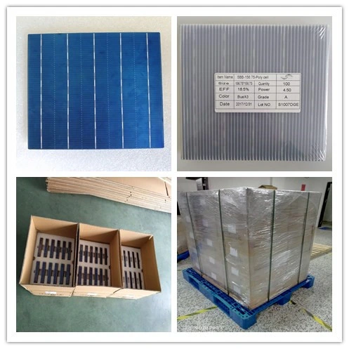 18.5 Poly Solar Cell for 275W Panel Module 5bb