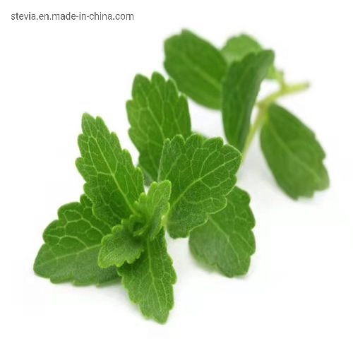 100% Natural Stevia para alimentos e bebidas --- Aojing Bio Stevia R50