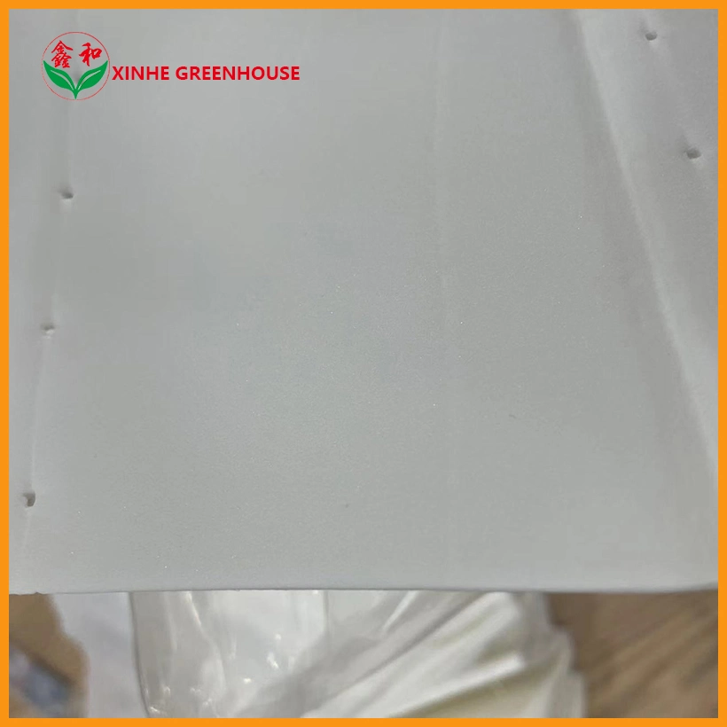 Cheap Price Customized New Agricultural Greenhouse Insulation for 5th Floor Thermal Quilt