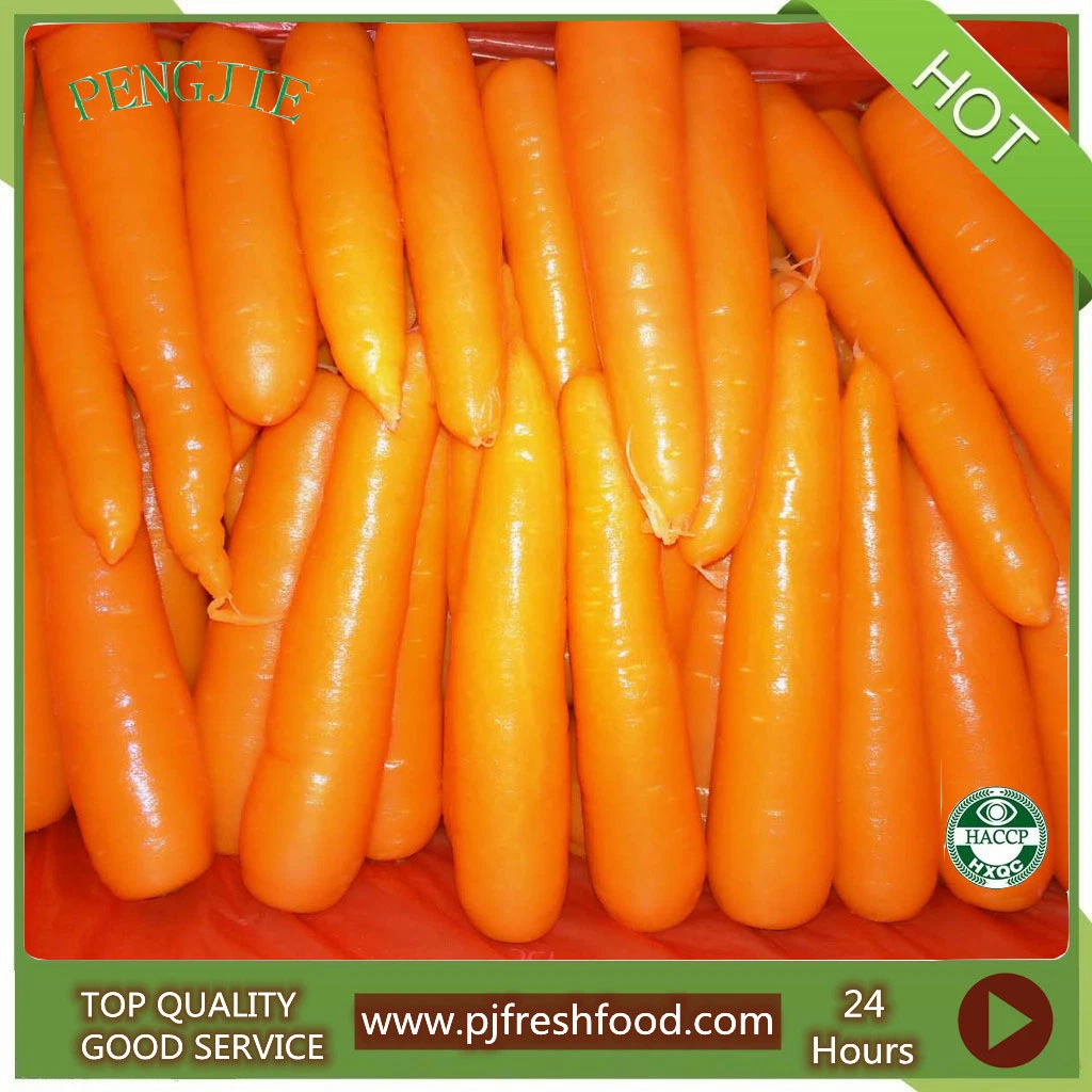 Carrot Fresh Carrot From China