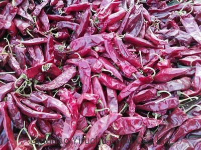 Pimiento rojo chino que puede aliviar la indigestión