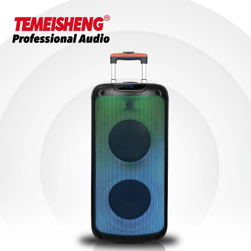 Temeisheng High Power Flame Light Outdoor Bluetooth Private Party Speaker