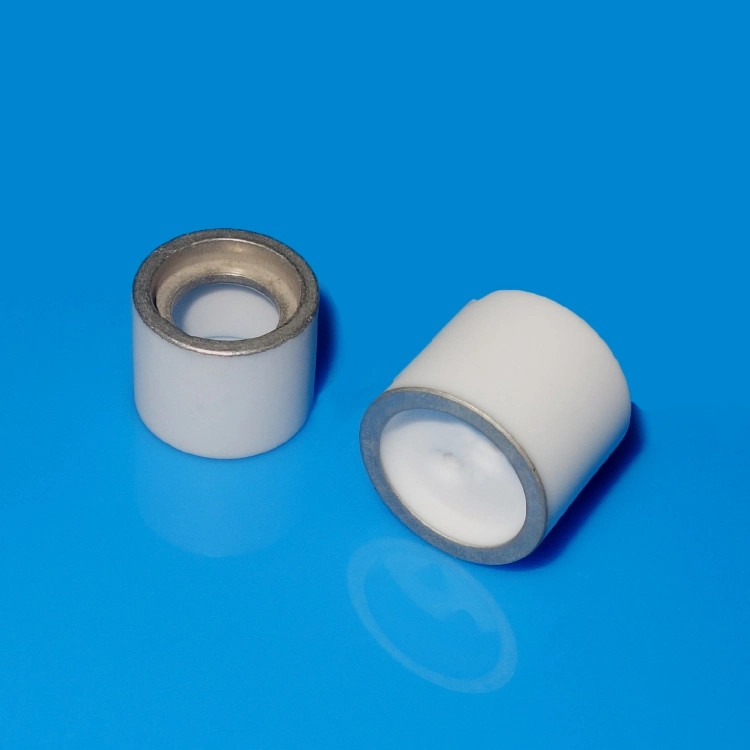 High Purity Alumina Precision قطع متقدمة من السيراميك لتغزين الشعر