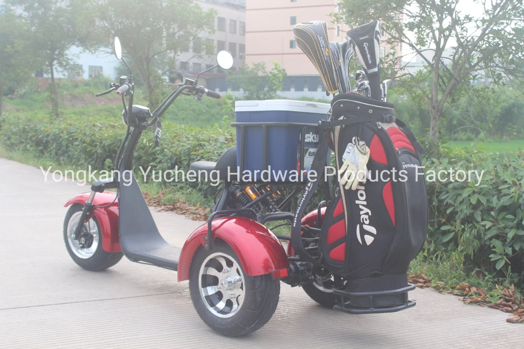 Carrito de golf de alta calidad eléctrica de 2 plazas