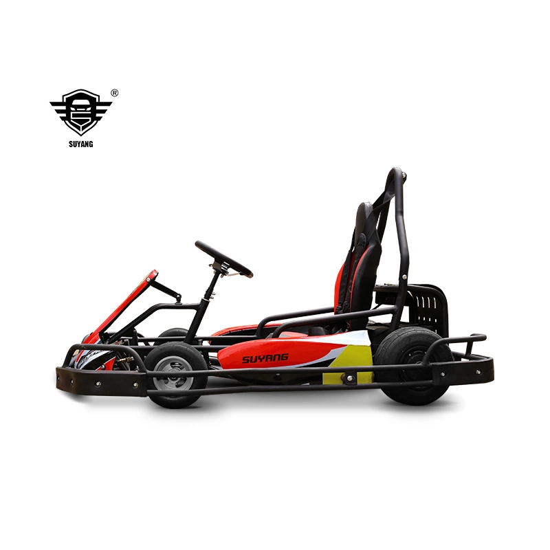 Adult Going Kart Electric Timing 1500*2 Quad