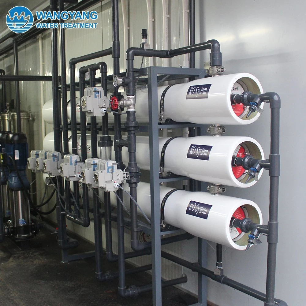 Africa 100 Cubic Meter Per Day Water Purification Equipment