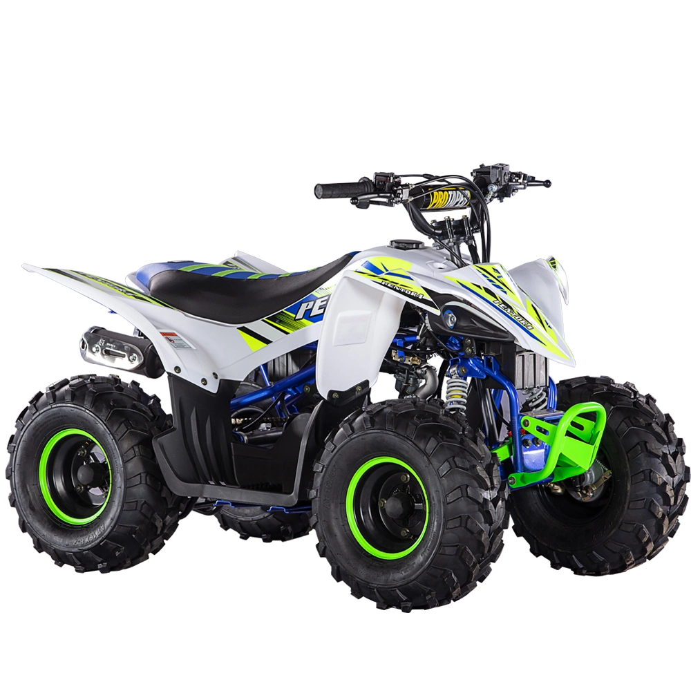 2022 Hot 110cc Quad ATV Racing Quads, Pentora diseño 110L