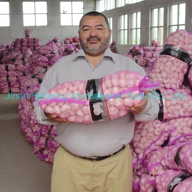 Shandong Fresh Garlic (white or purple) Low Price