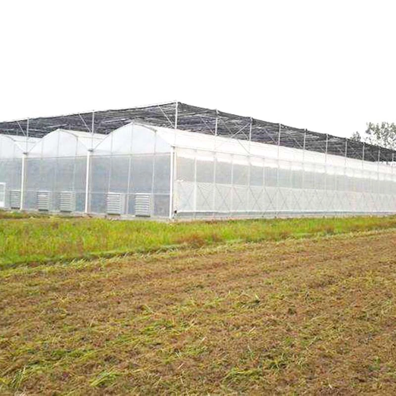 Vertical Column Daylight Film Greenhouse