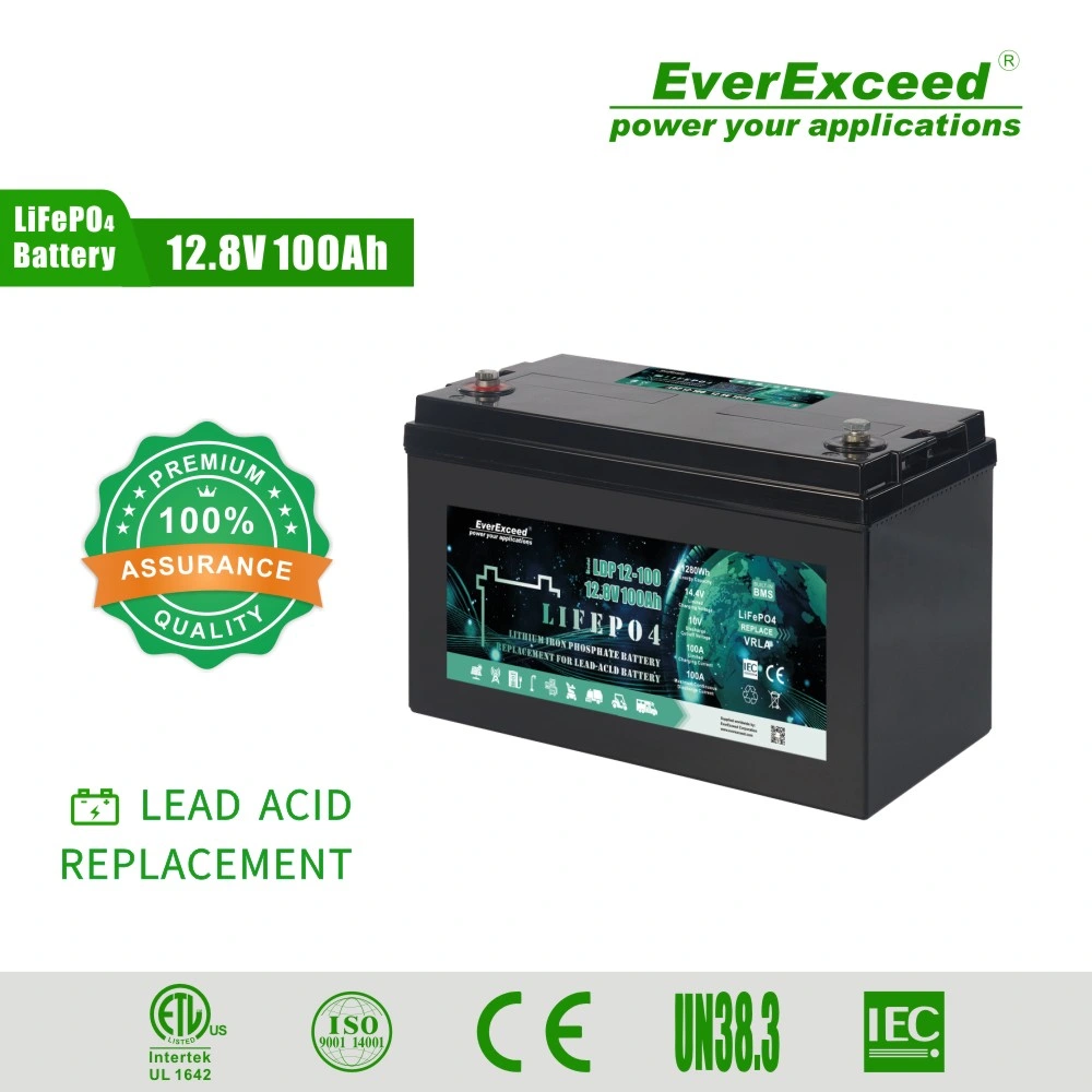 Batterie au lithium rechargeable homologué UL 24 V batterie LiFePO4 cycle profond Pack pour onduleurs / Stockage d'énergie solaire / RV / EV / Lumière / puissance des outils d'urgence