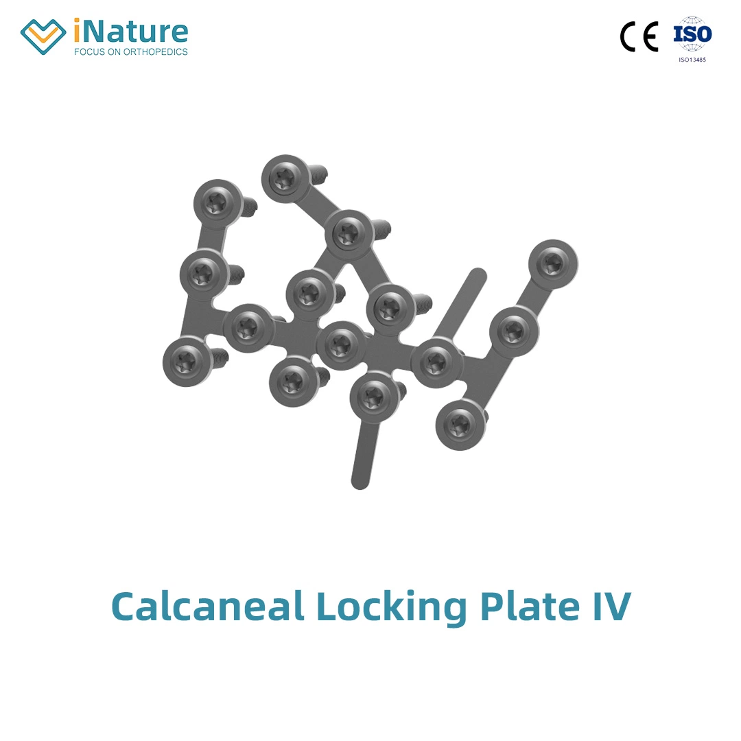 Pure Titanium Plates Titanium Alloys Screws Fracture X Type Locking Plate