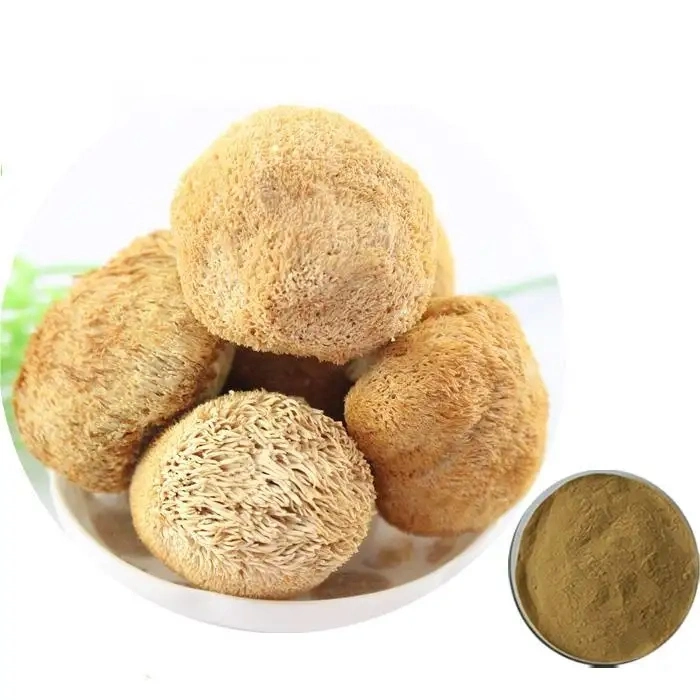 Lion's Mane Extract Lions Mane Mushroom Powder Hericium Erinaceus Extract