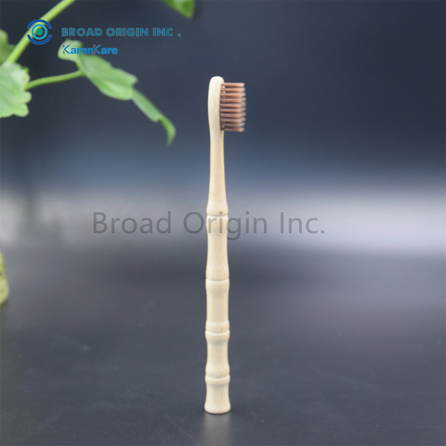 100% Environmental Best Selling Naturalbamboo Toothbrush Factory