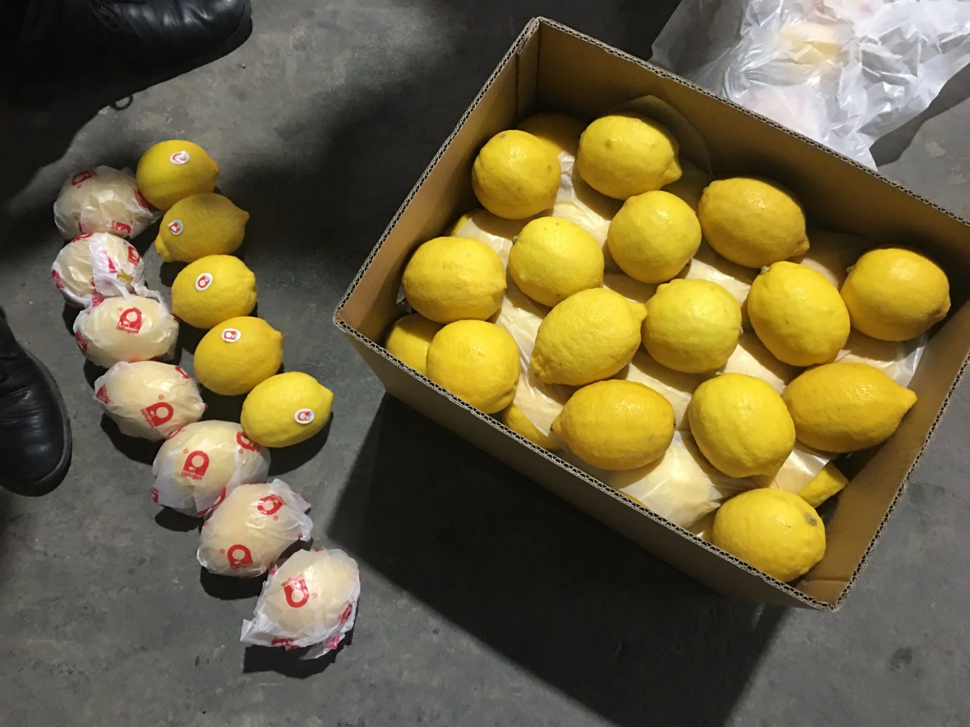 Wholesale/Supplier Eureka Lemon Fresh Lemon