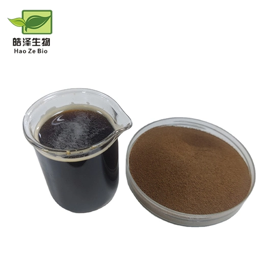 Instant Coffee Mushroom Powder Super Blend Mushroom Coffee Private Label Organic Mushroom Coffee