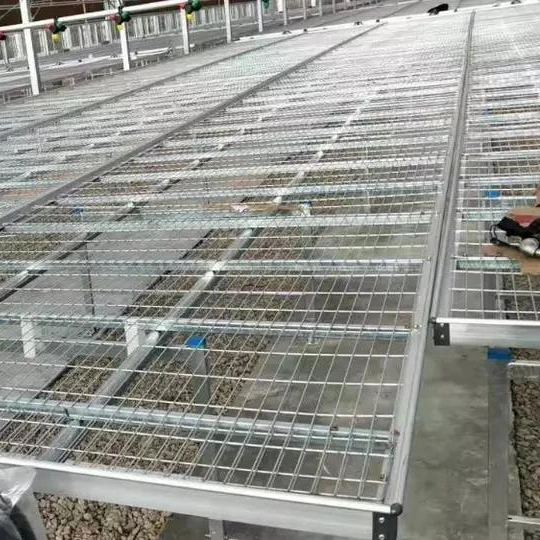 Fabrication personnalisée sur le fil de direction standard faible en carbone de produits de Jardinage Horticulture Xinhe du lit de semence