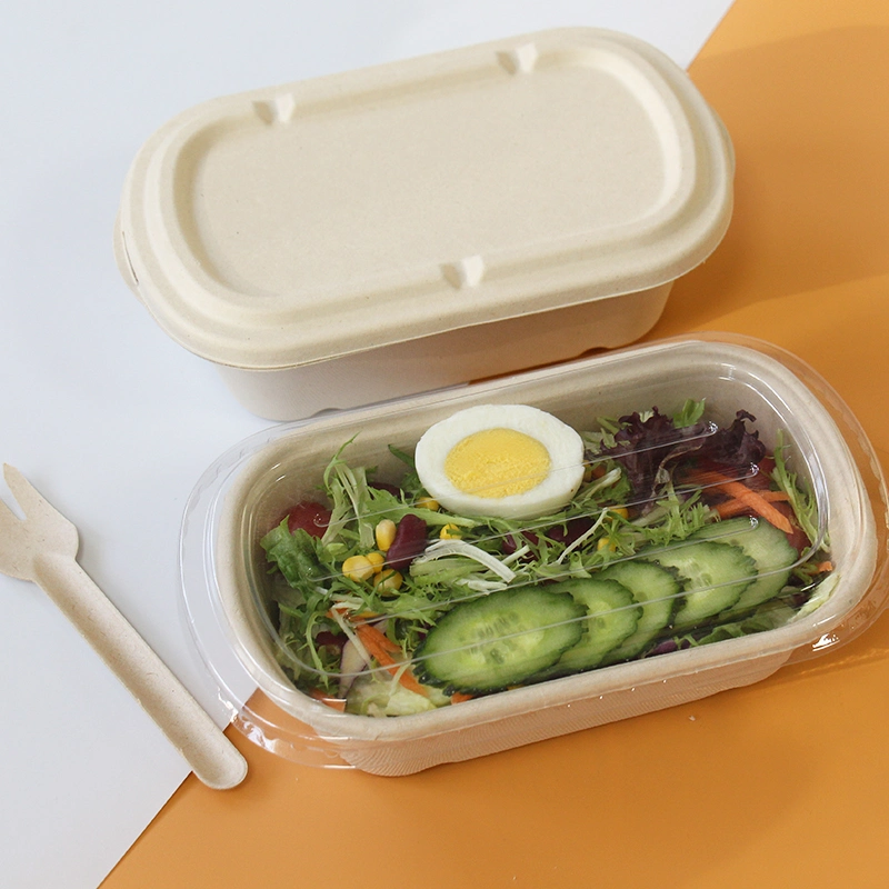 Contenant alimentaire biodégradable pour emporter avec couvercles Boîte à salade en canne à sucre.