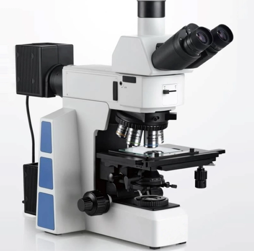 Biological Microscope Affordable Quality for Laboratories