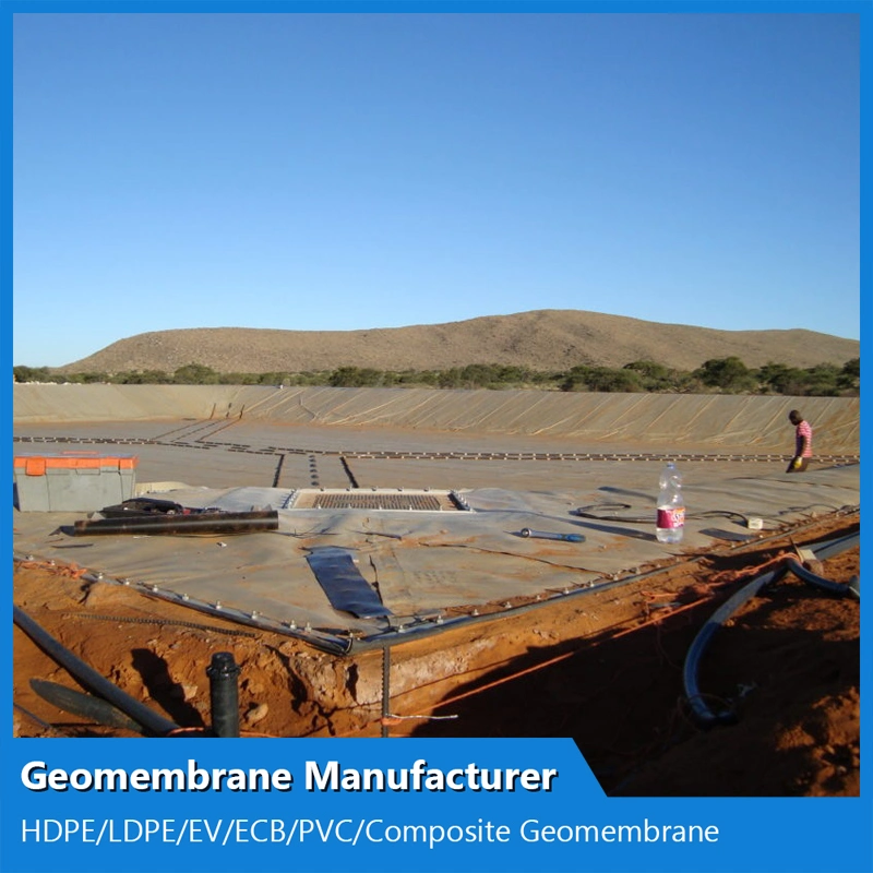 GM13 Standard 2mm HDPE Plastic Geomembrane Sheet for Large Fish Ponds Farm Tank